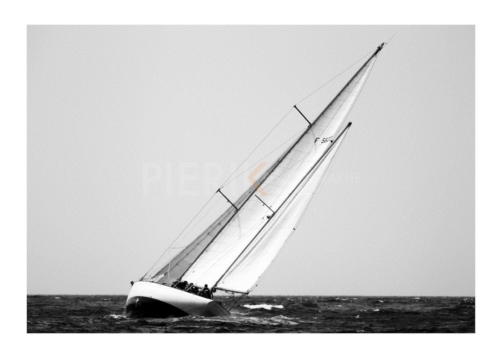 White Dolphin à la gîte